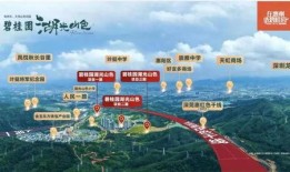 惠州最新消息爆料,揭秘城市热点事件背后的真相