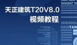土人设计爆料视频教程下载,视频教程下载攻略与概述